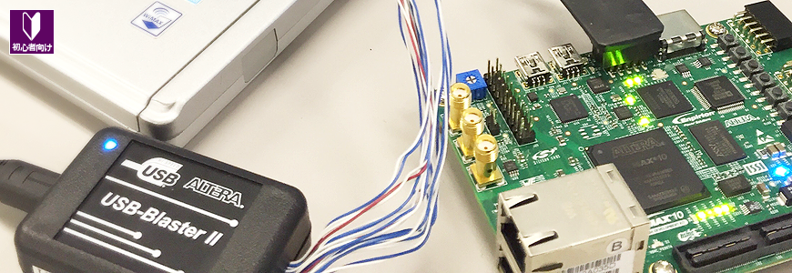 アルバーティアナコニカ/大株【現品発送】管理70819 アルバティアーナ