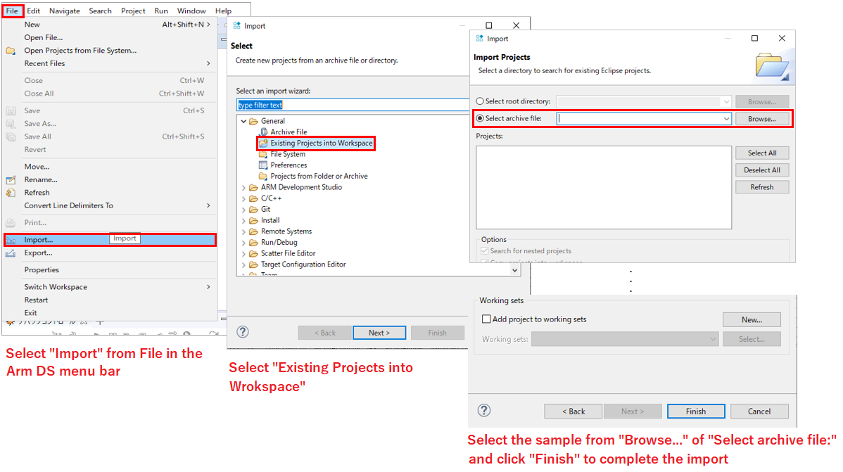 Fig2_Import Procedure.png